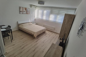 Apartman Lena Banovo brdo